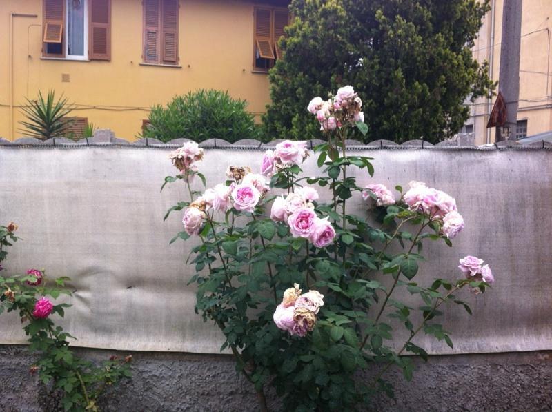 فيلا لا سبيتسْيافي Solemare House Nearby Cinqueterre الغرفة الصورة